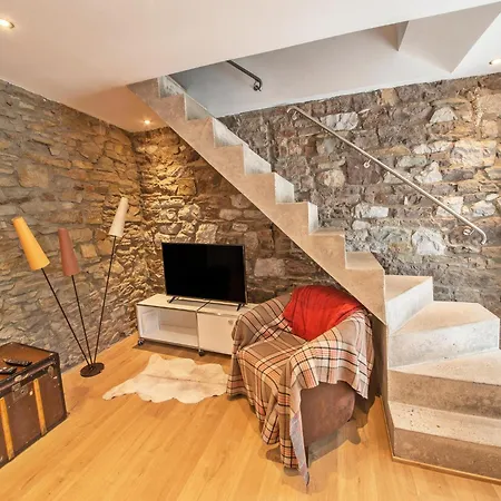 Stylish Near Forest