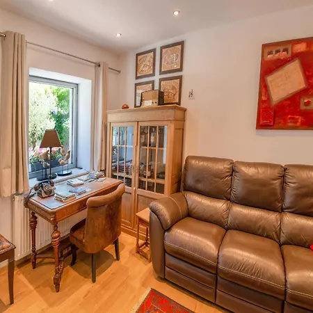 Stylish Near Forest *