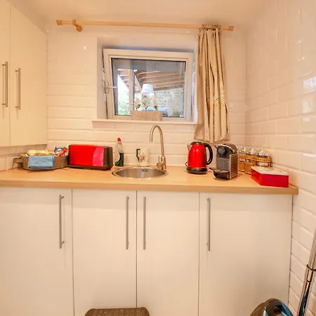 Stylish Near Forest *