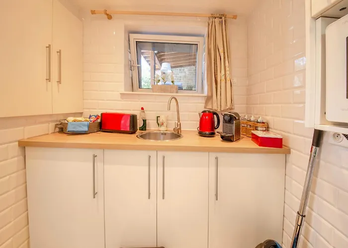 Stylish Near Forest *