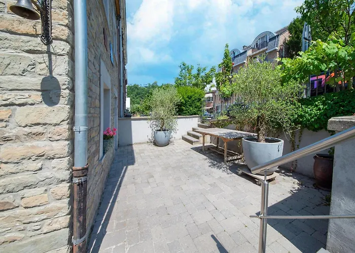 Stylish Near Forest *